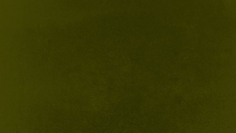 Kendrick Lamar, Loretta Lynn e Nada Surf estão nos "Lançamentos da Semana"