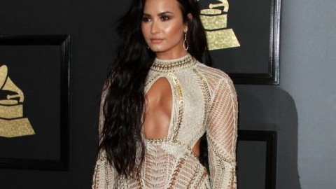 Veja os looks das artistas que passaram pelo tapete vermelho do Grammy 2017