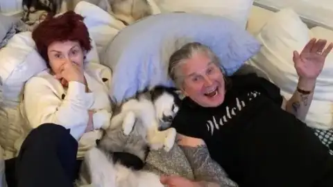 Sharon Osbourne lamenta a morte de seu cachorro, Elvis, três meses após perder Ozzy