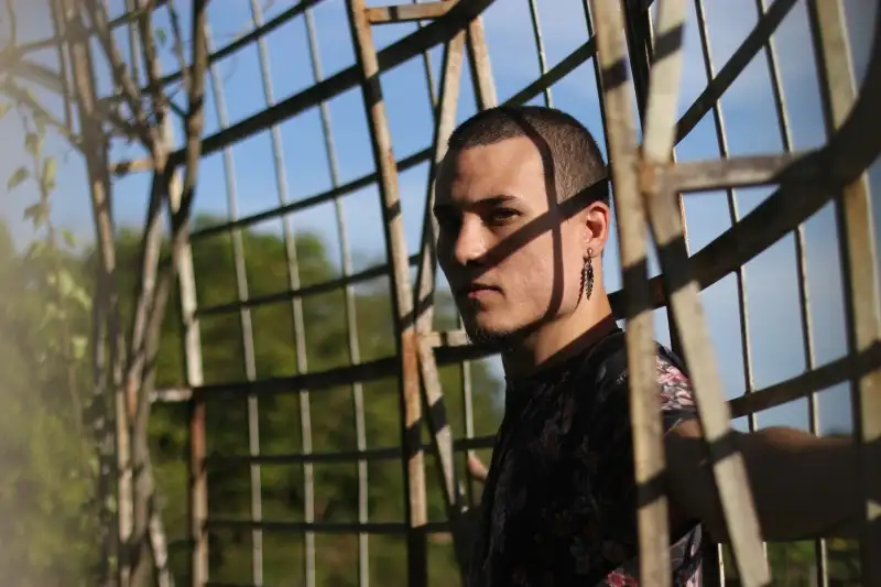 elefante-cinza - Fotos